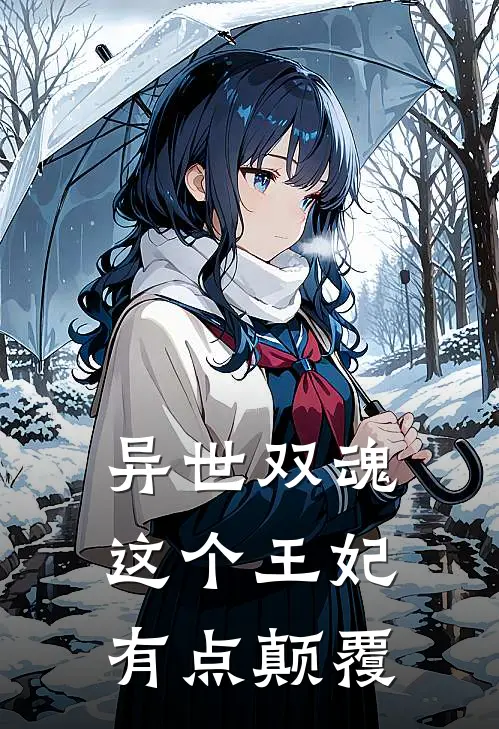 异世双魂这个王妃有点颠覆